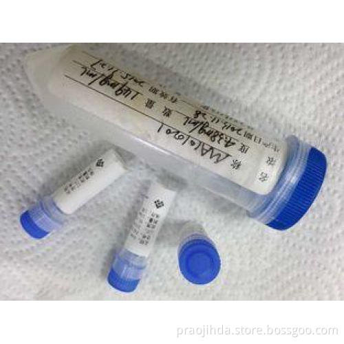 Anti - HBsAg Mouse Monoclonal Antibody Mab Antibodies For M